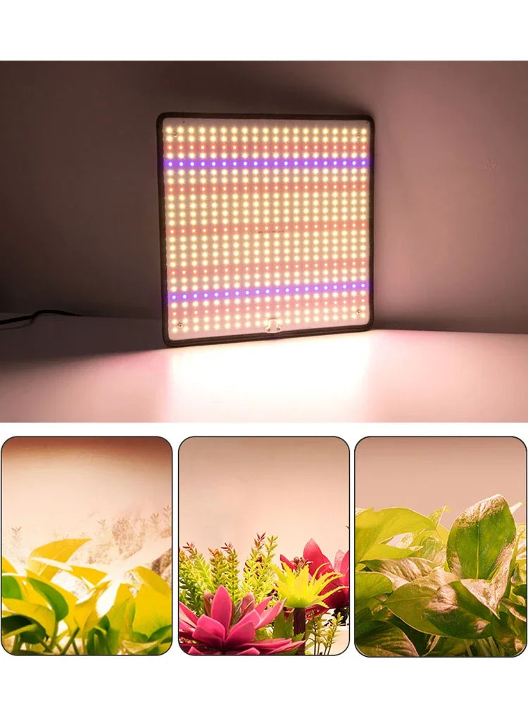 🌱 Luz LED Cultivo 1200W Quantum Board Full Spectrum | Iluminación Indoor Profesional para Floración