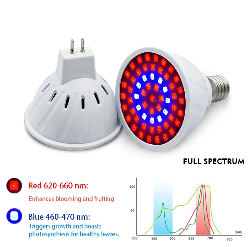 🌱 Bombilla LED Cultivo Full Spectrum E27/E14/GU10 | Luz Indoor para Plantas y Sistemas Hidropónicos