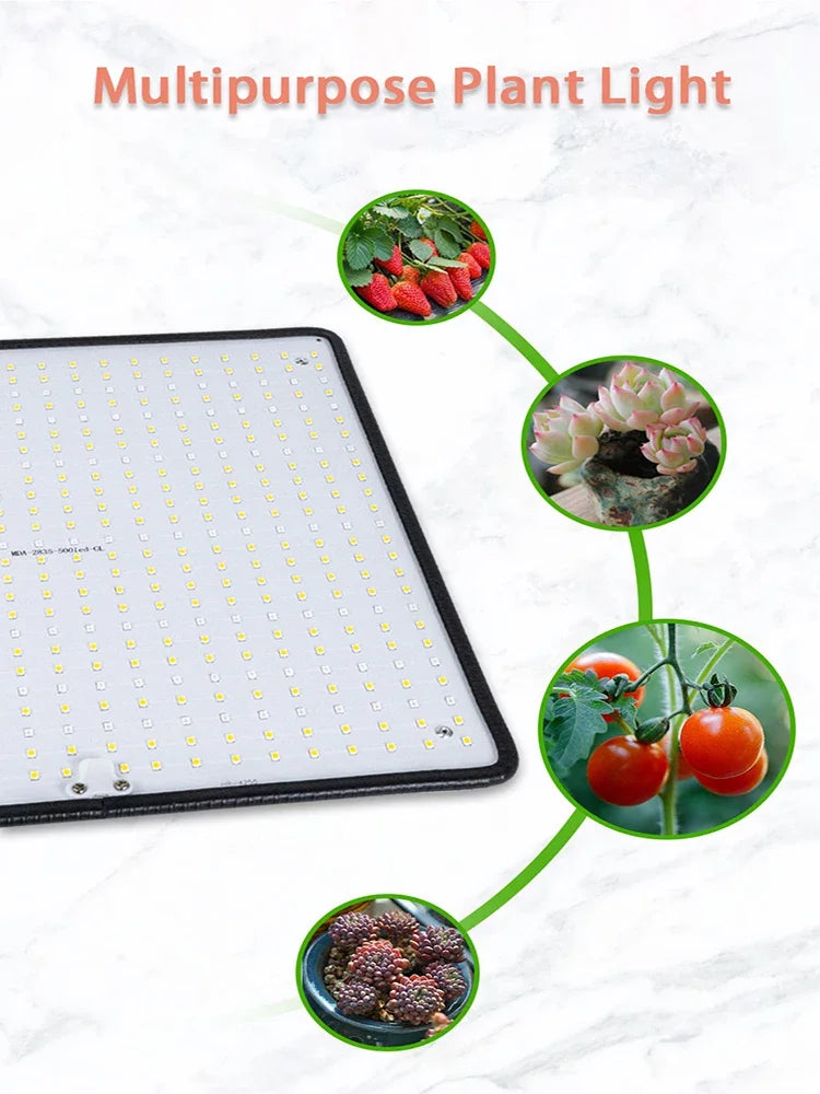 🌱 Luz LED Cultivo 1200W Quantum Board Full Spectrum | Iluminación Indoor Profesional para Floración