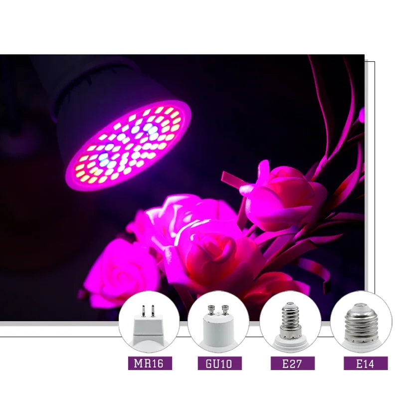 🌱 Bombilla LED Cultivo Full Spectrum E27/E14/GU10 | Luz Indoor para Plantas y Sistemas Hidropónicos