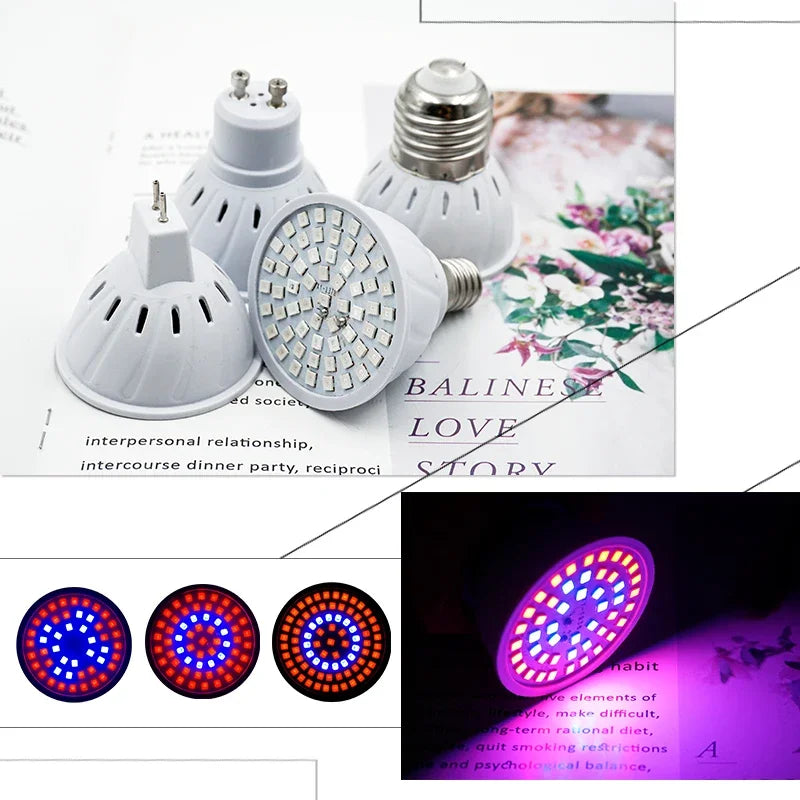 🌱 Bombilla LED Cultivo Full Spectrum E27/E14/GU10 | Luz Indoor para Plantas y Sistemas Hidropónicos