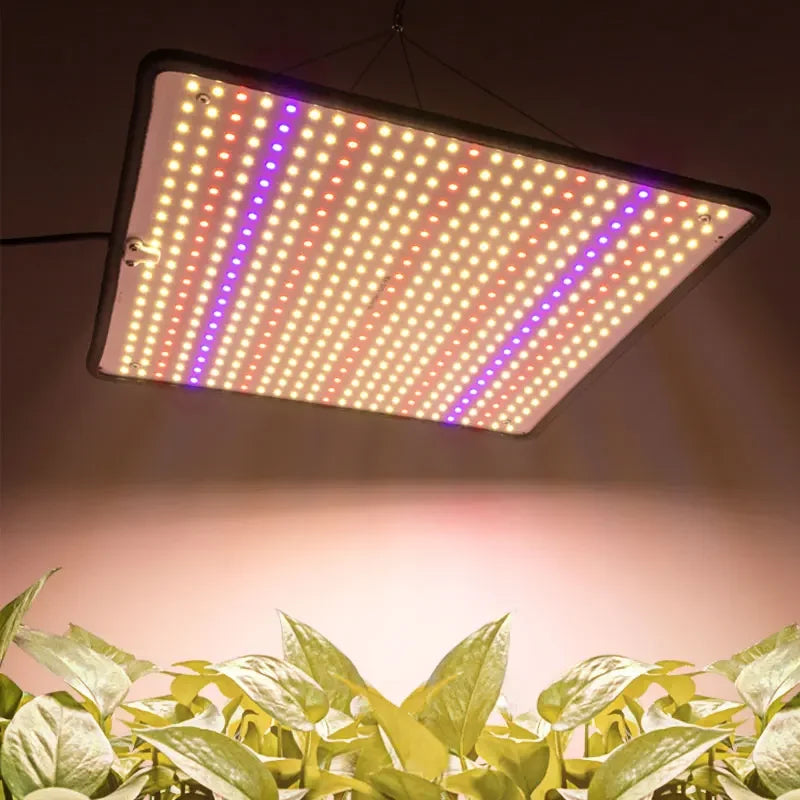 🌱 Luz LED Cultivo 1200W Quantum Board Full Spectrum | Iluminación Indoor Profesional para Floración