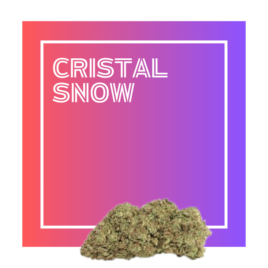 Cristal Snow | Flores de CBD Premium