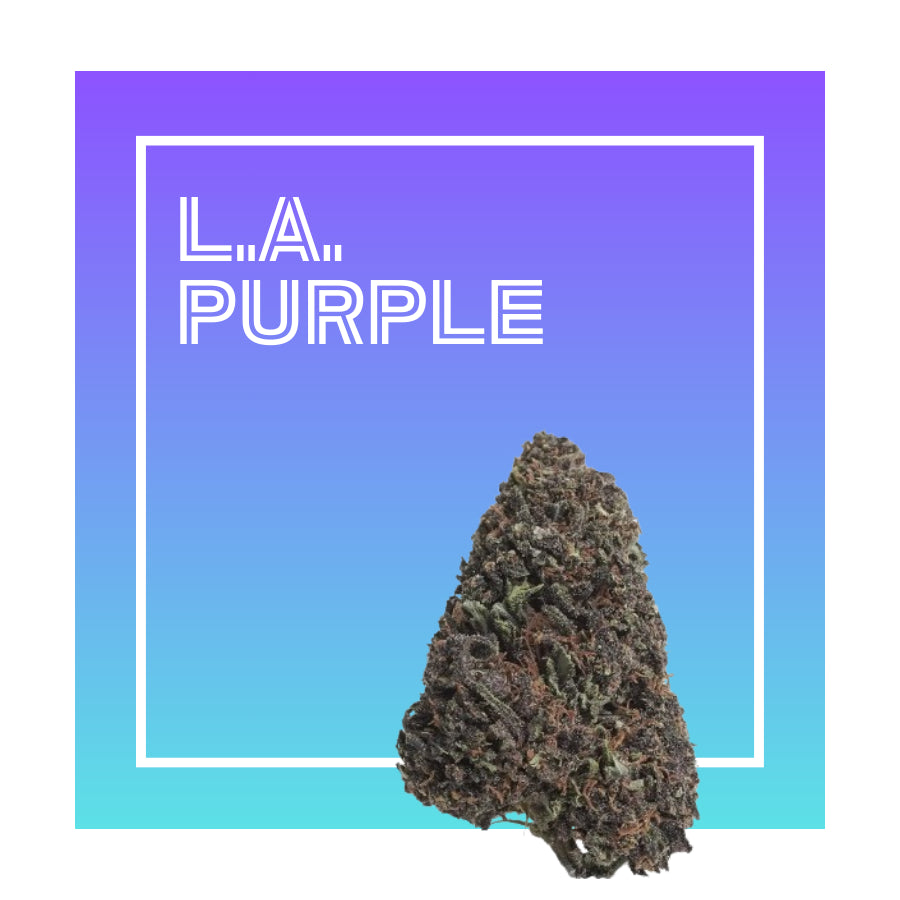 L.A. Purple | Flores de CBD Premium